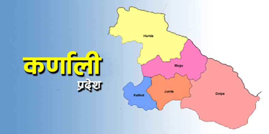 यौन तथा प्रजनन शिक्षामा छुट्टै पाठ्यक्रम बनाउन माग