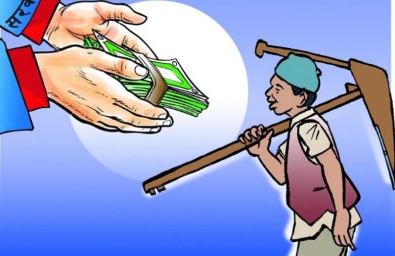 साना किसानलाई अनुदान