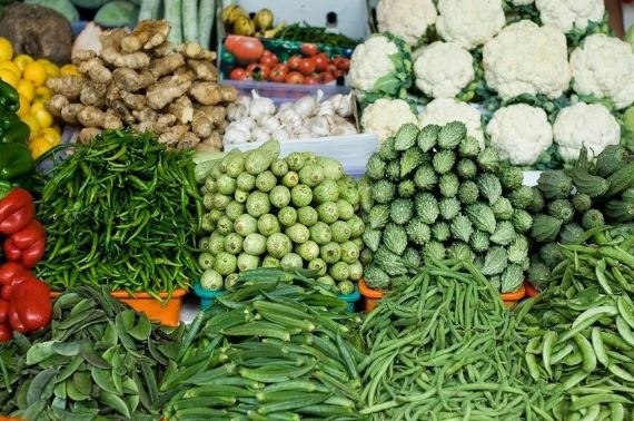 तरकारीका कार्यक्रमका लागि चितवनमा एक करोड ७१ लाख