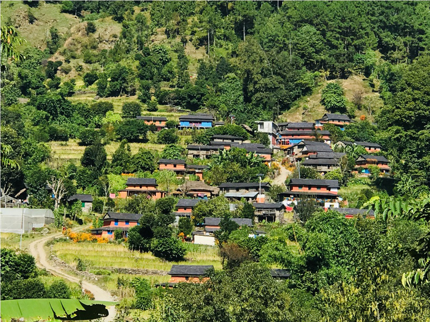 तोरीखोला गाउँमा घरबास सञ्चालन