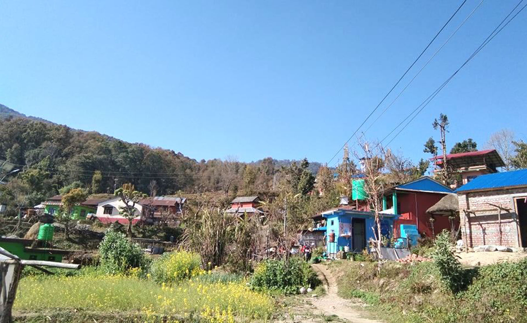 घरवासमा पर्यटक राख्न प्रतिबन्ध