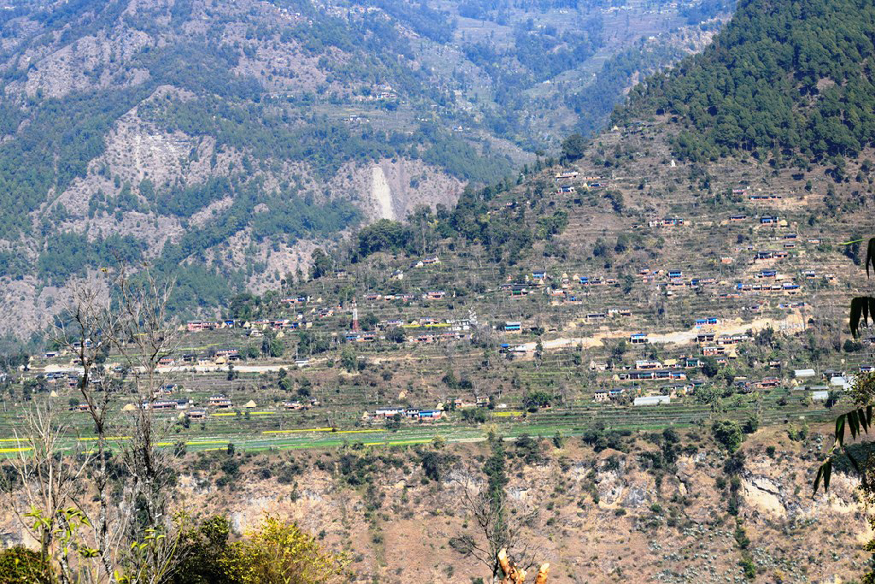 तरकारी गाउँ धाईरिङ