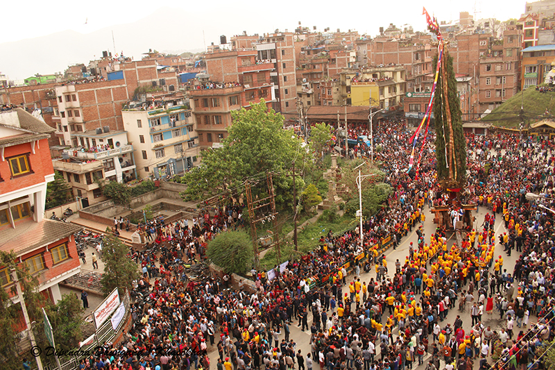 अन्योलमा रातो मच्छिन्द्रनाथको जात्रा