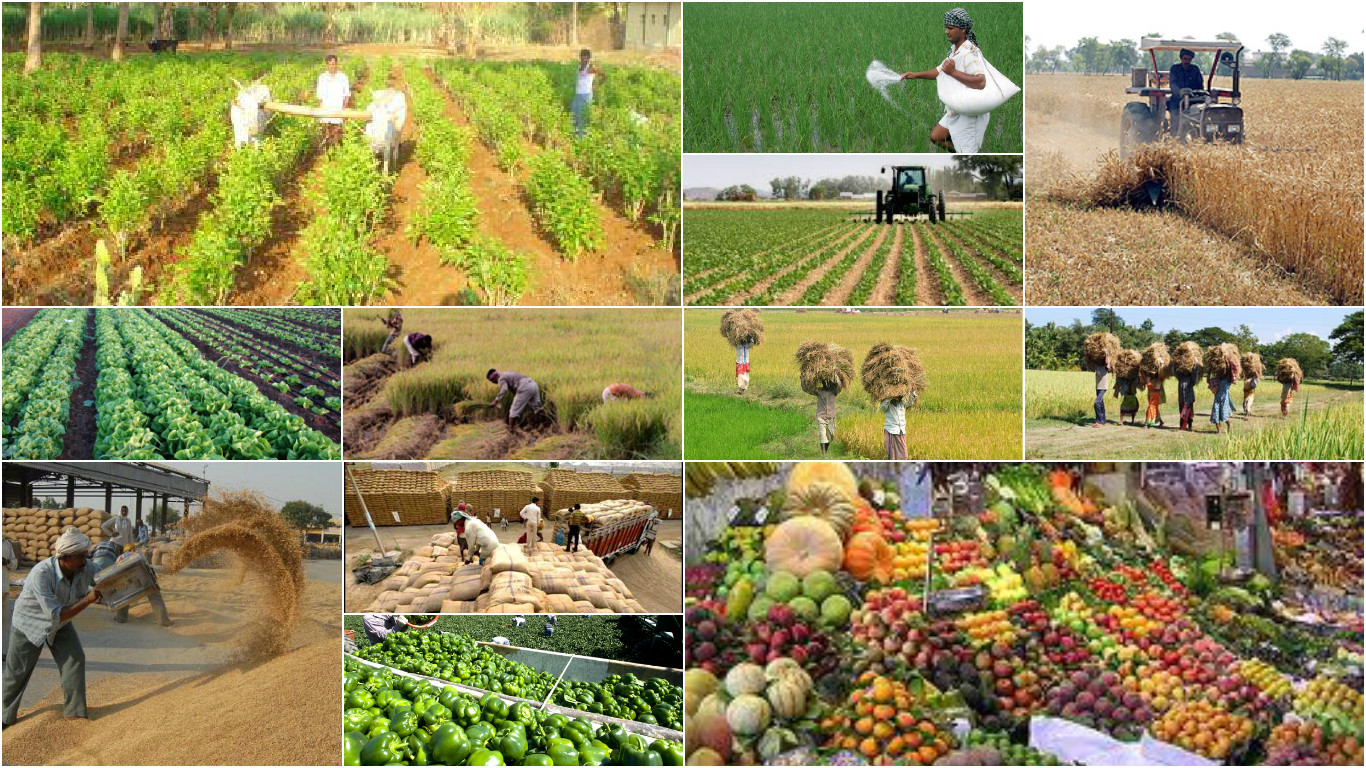 Agricultural products expected to increase with timely rainfall, availability of workforce
