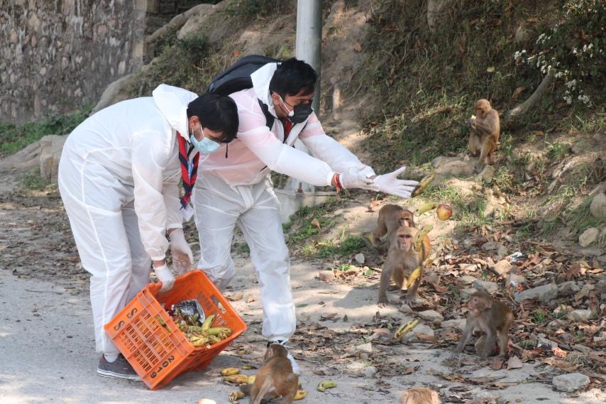 नेपाल स्काउटले थाल्यो लकडाउनका कारण भोका पशुपंक्षीहरूलाई दाना खुवाउने अभियान(फोटो फिचर)