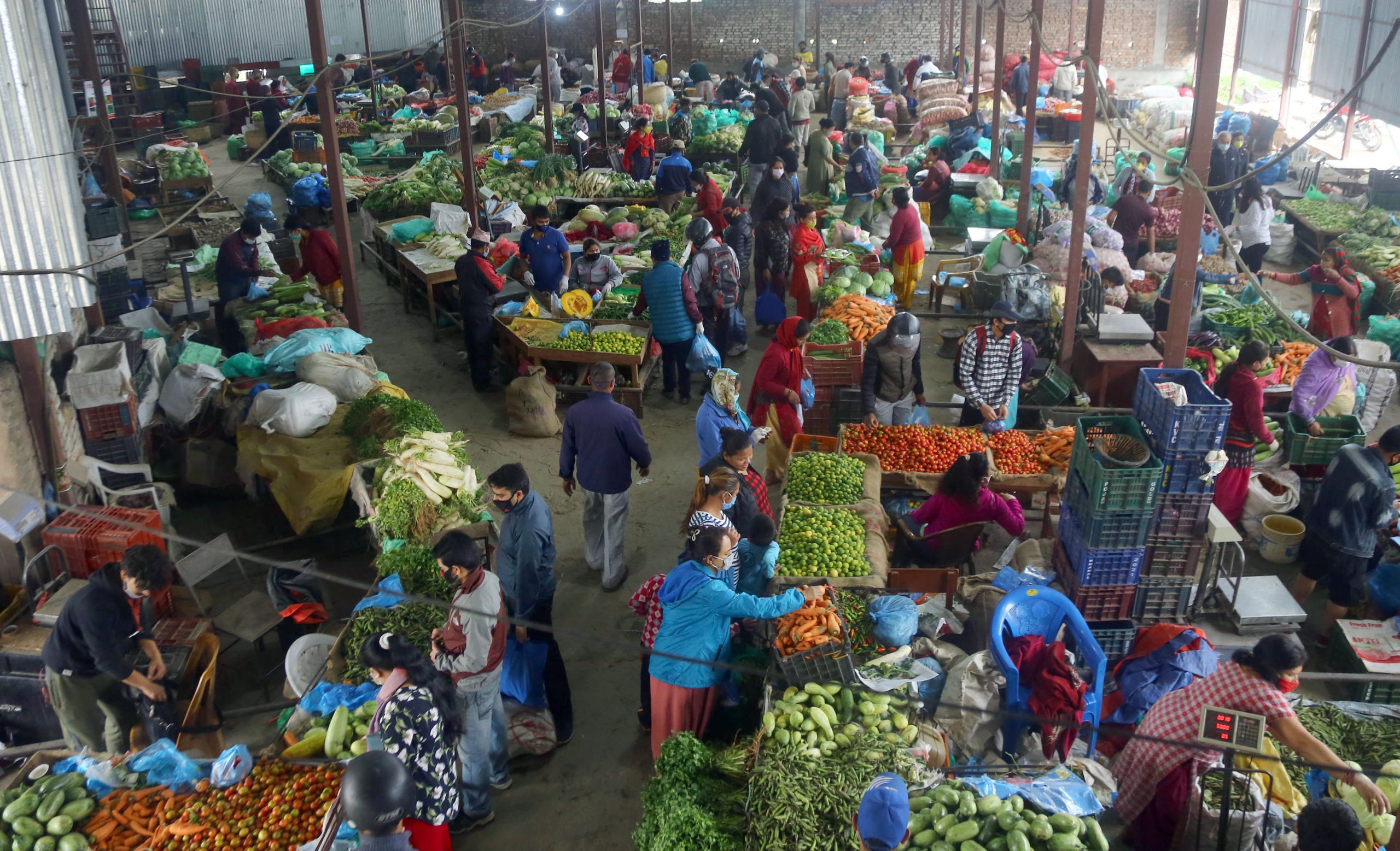 तरकारी किन्दै उपभोक्ता