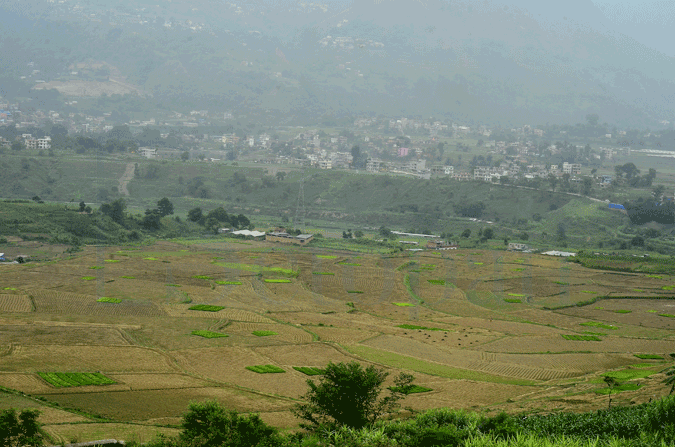 जग्गा बाँझो राख्न नपाइने