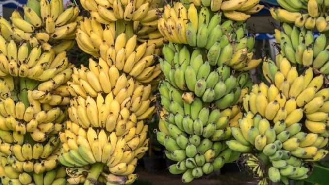 बजार नपाए पछि बोटमै पाक्न थाले केरा