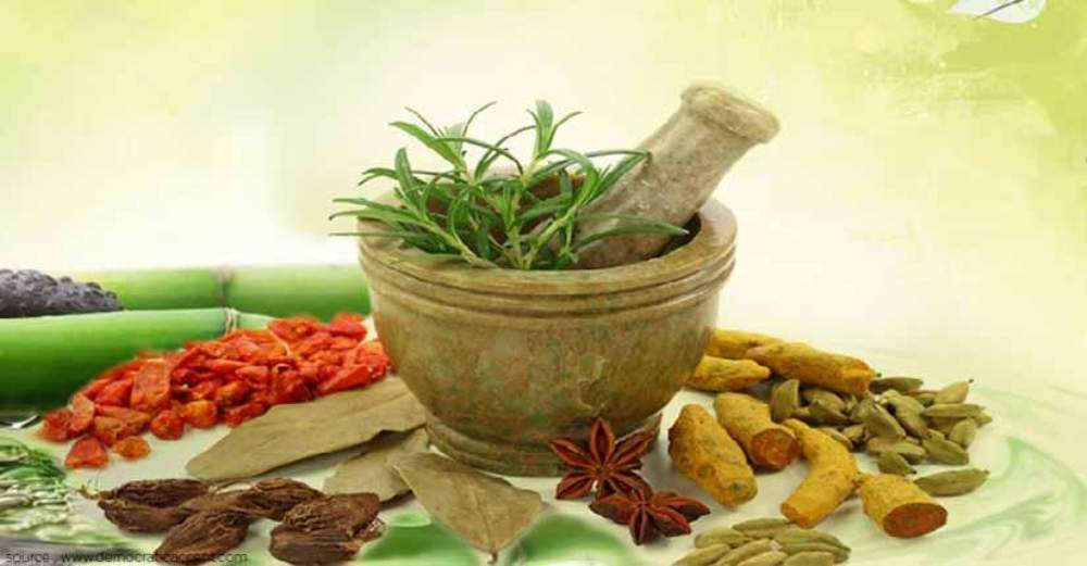 कोरोना सङ्क्रमितलाई आयुर्वेदिक औषधि