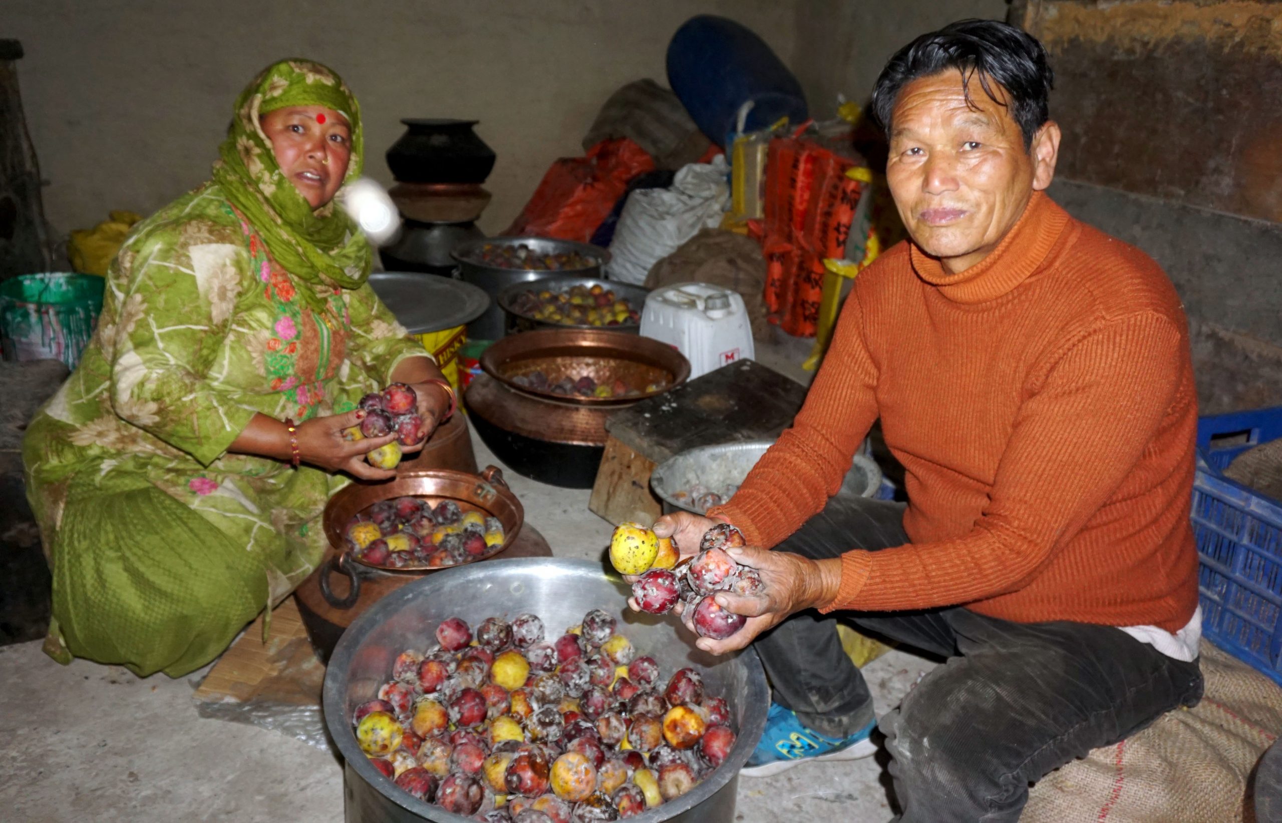लकडाउनले गर्दा कुहियो स्याउ