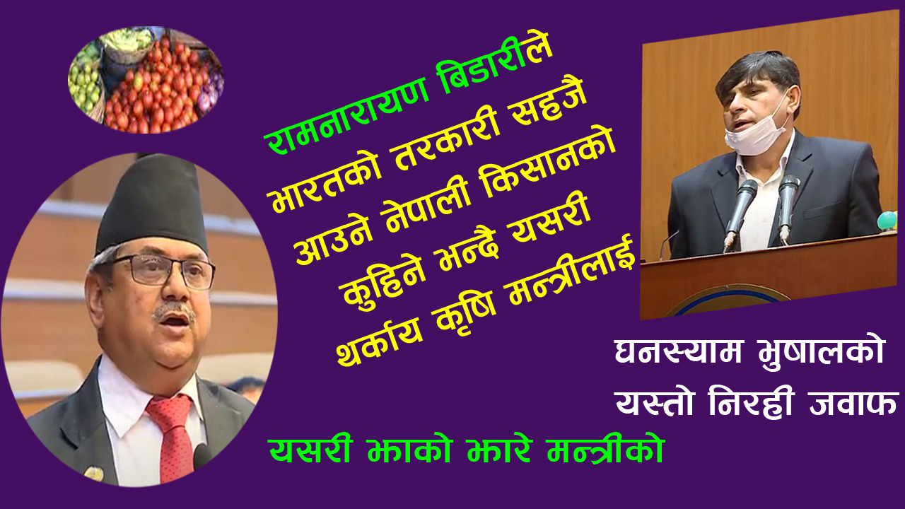 भारतको तरकारी सहजै आउने नेपालीको कुहिने भन्दै यसरी कृषिमन्त्रीलाई थर्काए रामनारायण  बिडारीले