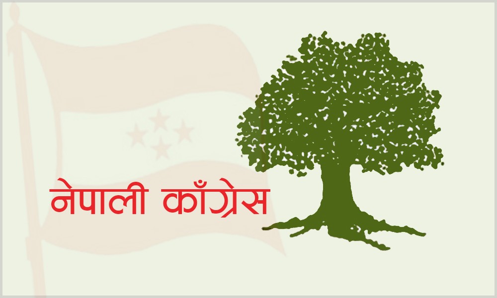 विद्युतीय सवारीमा लगाइएको करप्रति काँग्रेसको आपत्ति