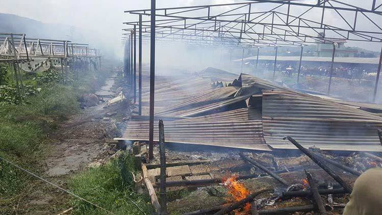 सूर्यविनायकको गाई फार्ममा आगलागी