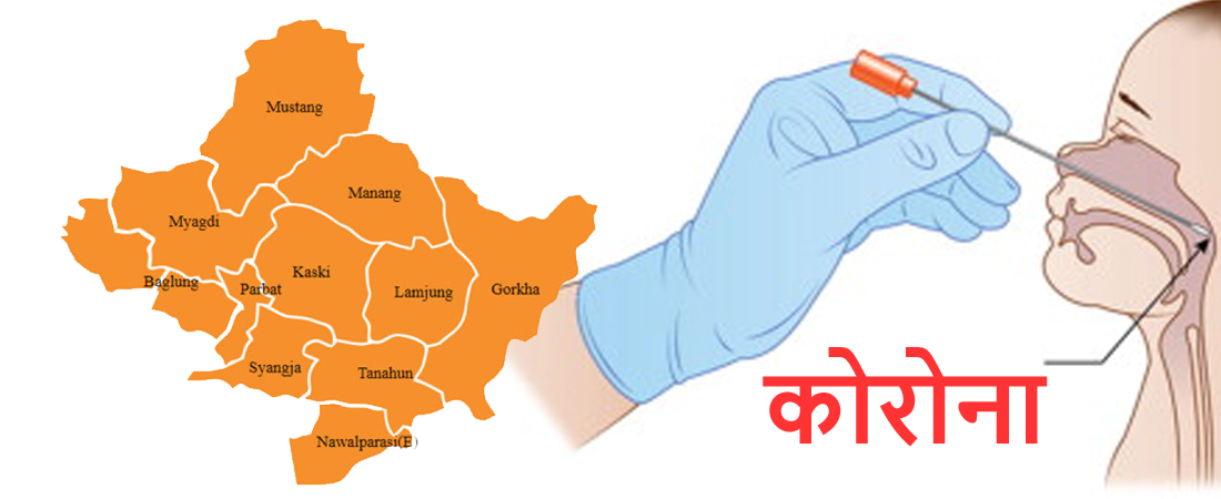 गण्डकीमा कोरोना सङ्क्रमितको संख्या ५४ जना पुगे