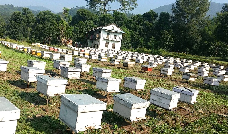 व्यावसायिक मौरीपालनमा कृषकको आकर्षण