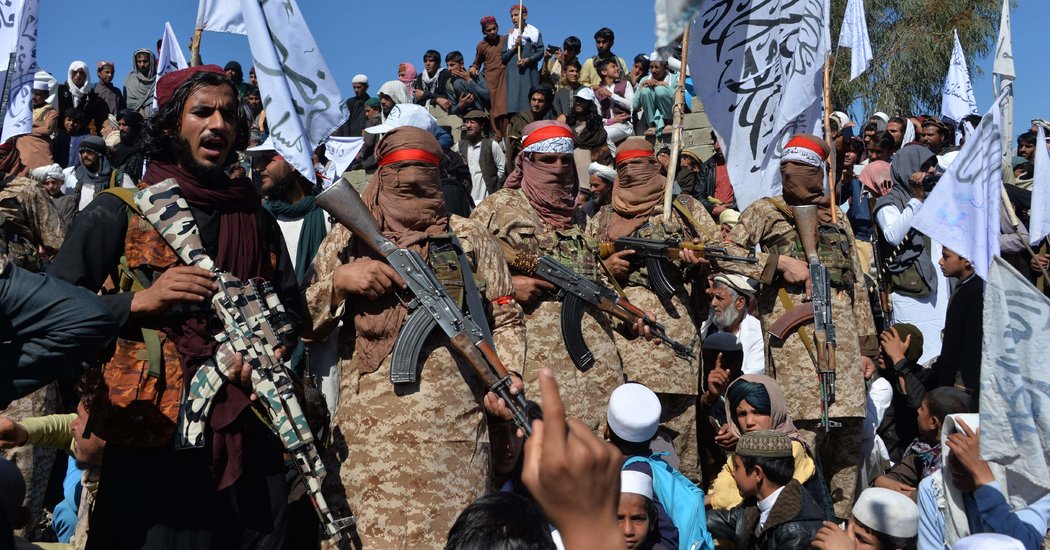 24 Taliban terrorists killed in clash with Afghan forces in Zabul province