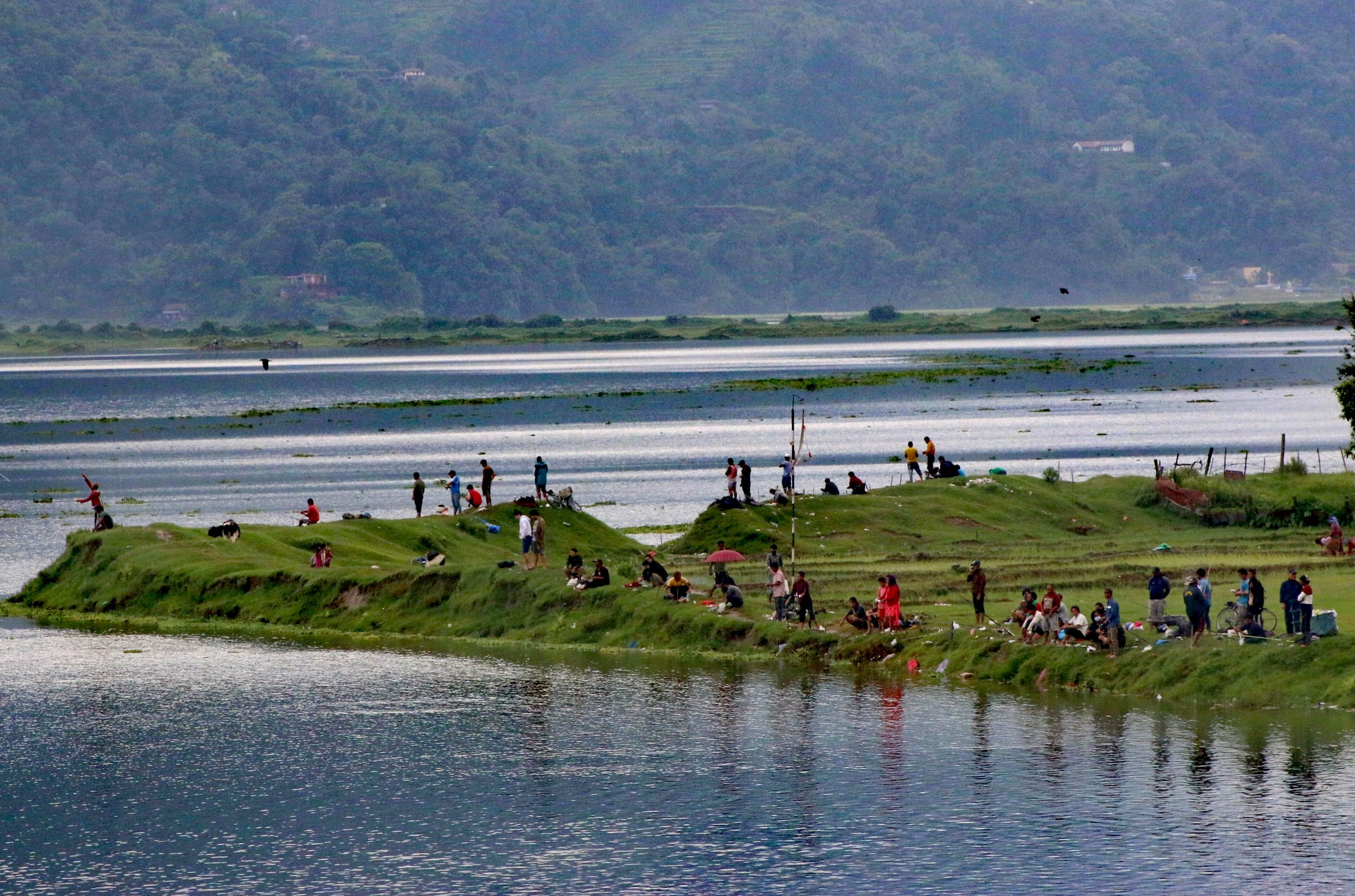 फेवातालको छेउमा माछा मार्नेहरुको भिड
