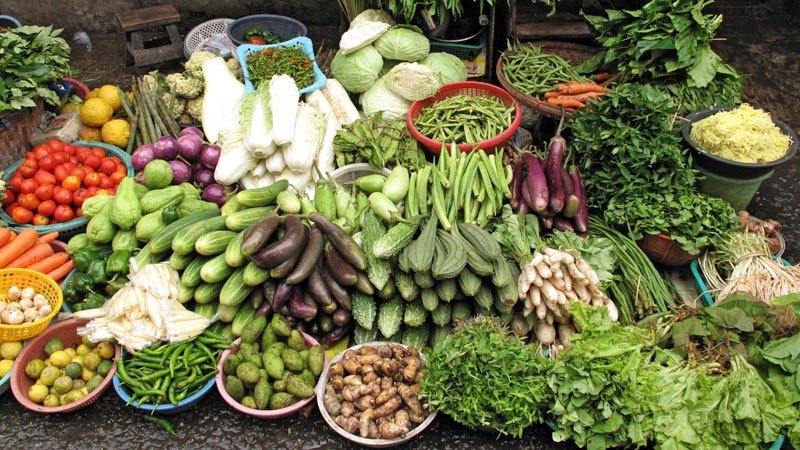 लगातारको वर्षा, तरकारी किसानको चिन्ता