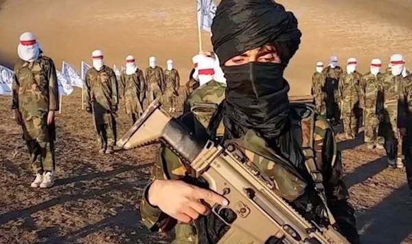 Taliban commander among 8 militants killed in W. Afghanistan