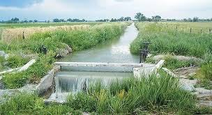 सिँचाइ कुलोमा मृत फेला