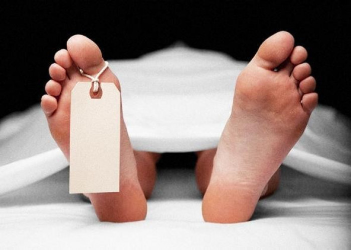 लहरीको ठक्करले टेम्पु चालकको मृत्यु