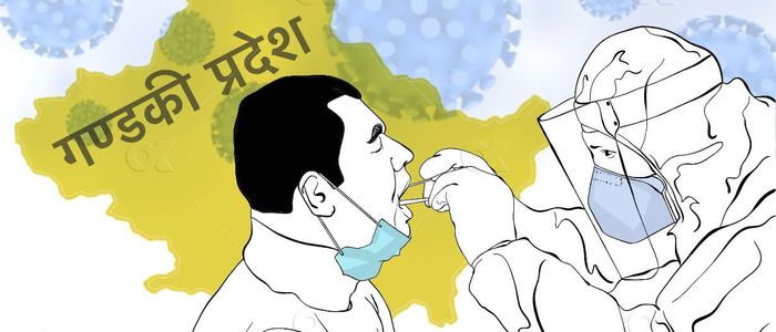 गण्डकीमा ६५ कोरोना सङ्क्रमित थपिए
