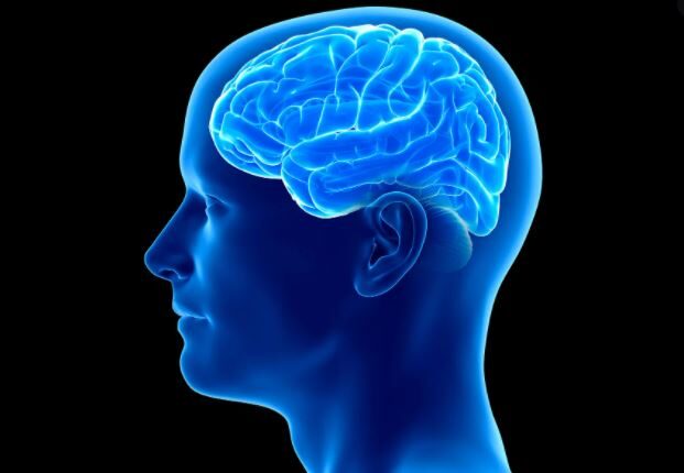 हेर्नुस् यस्ता छन् स्मरणशक्ति बढाउने  सरल उपाय