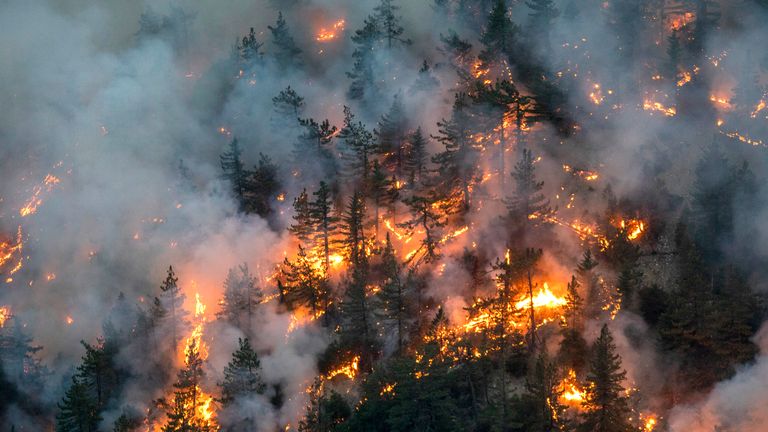 Trump to visit California as deadly wildfires rage