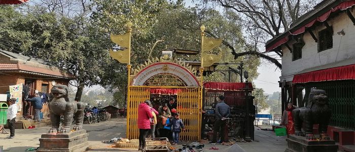 नवरात्रमा दर्शनका लागि शक्तिपीठ खुला नगरिने,  नित्य पूजामात्र