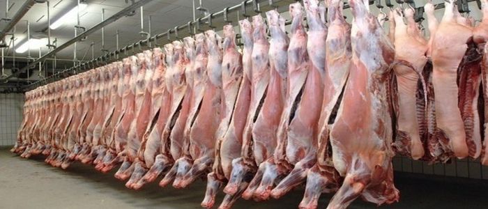 महेन्द्रनगरको आधुनिक बधशाला सञ्चालनमा