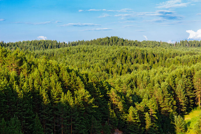 80 pct of Europe’s natural habitats in poor shape: report