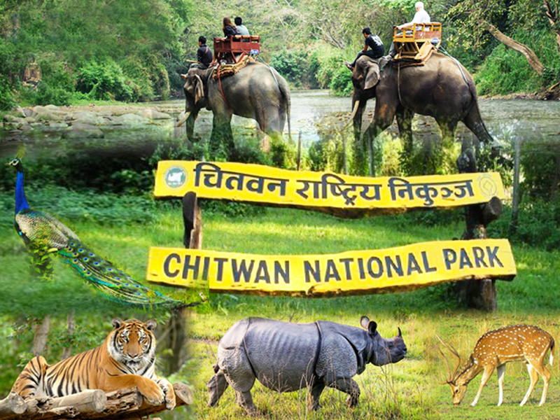 चितवन राष्ट्रिय निकुञ्जमा पर्यटकीय गतिविधि शुरु