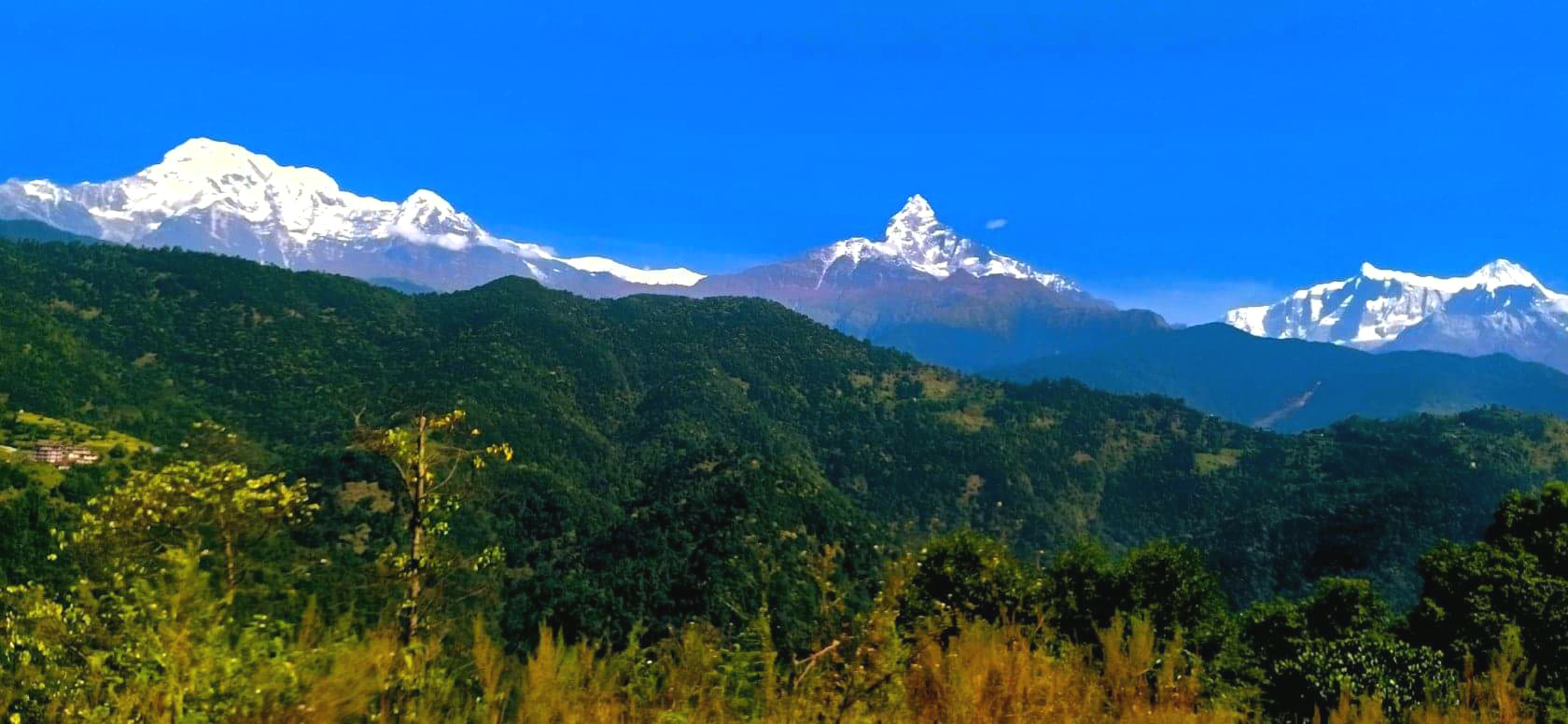 माछापुच्छ्रे हिमाल  र अन्नपूर्ण हिमशृङ्खला एकै दृश्यमा