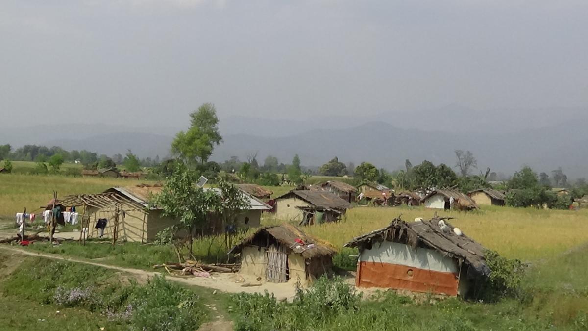 सुकुम्वासी बस्तीमा दशैँको रौनक छाएन