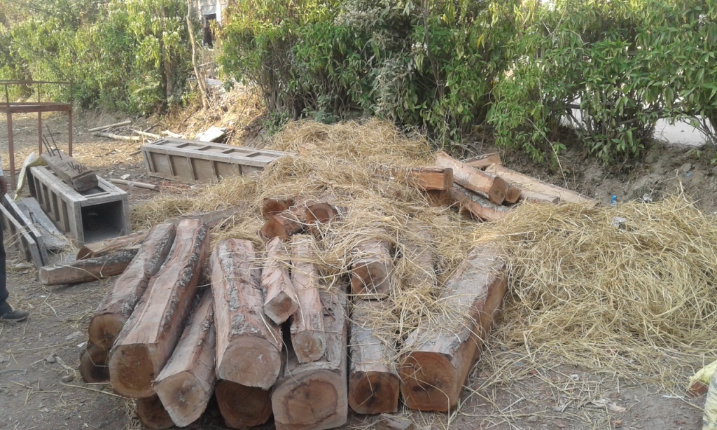 डिभिजन वन कार्यालयद्वारा बेवारिसे  काठ नियन्त्रित