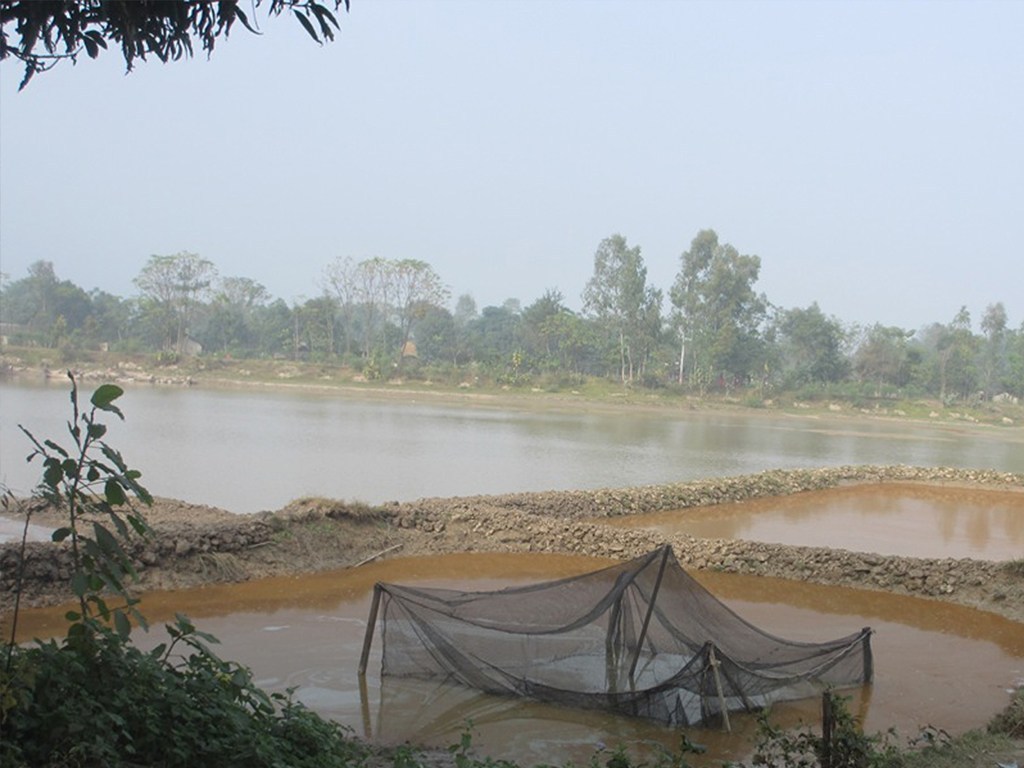 माछापालनका लागि ५० वटा पोखरी बनाउँदै नगरपालिका