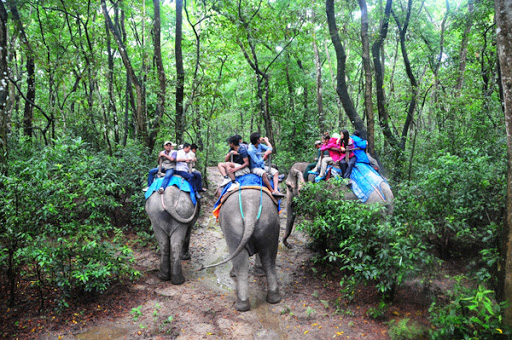 सौराहामा अपेक्षाभन्दा बढी पर्यटक
