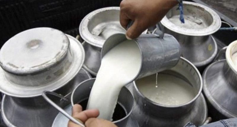 जागिर छाडेर दूग्ध व्यवसाय, वार्षिक ३० लाखभन्दा बढी आम्दानी