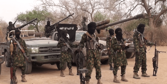 Boko Haram kills at least 43 farm workers in Nigeria: militia