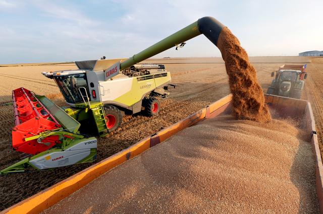 चीनले अस्ट्रेलियाबाट गहुँ खरिदमा प्रतिबन्ध लगाउने