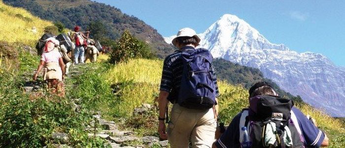 मर्दी र माछापुच्छ्रे पदयात्रामा पिसीआर रिपोर्ट अनिवार्य