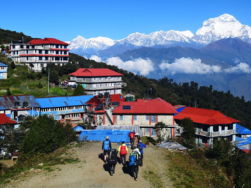 आलुको बीउ बाँड्दै गाउँपालिका