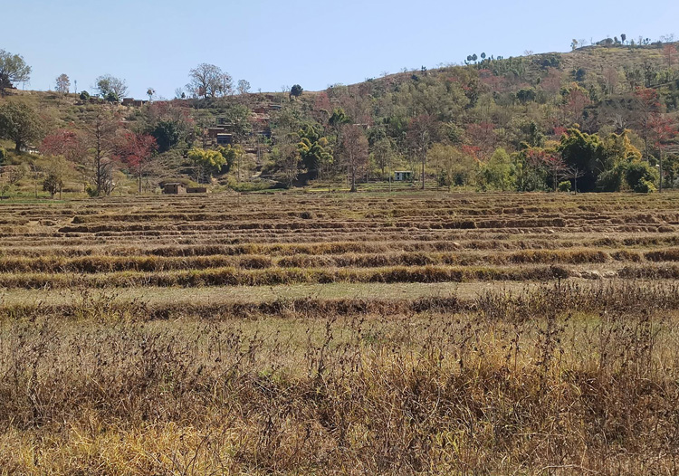 खेतीयोग्य जमिन सिँचाइबाट वञ्चित