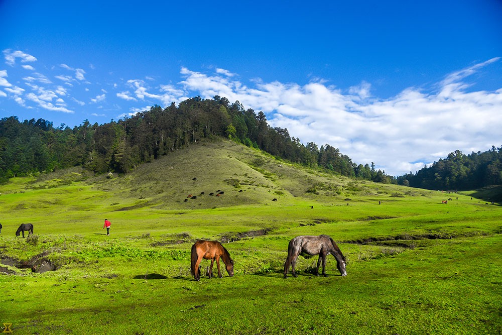 हेलिकोप्टर सेवाले खप्तड घुम्ने पर्यटक बढे