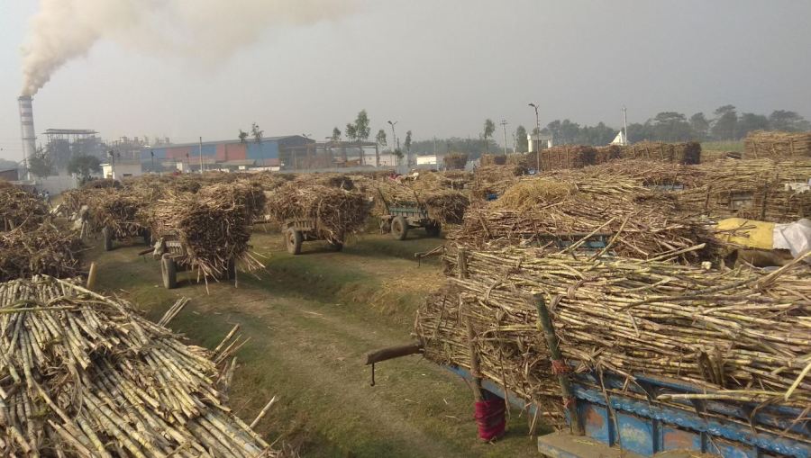 ‘नो केन’ले सुनसान चिनी उद्योग