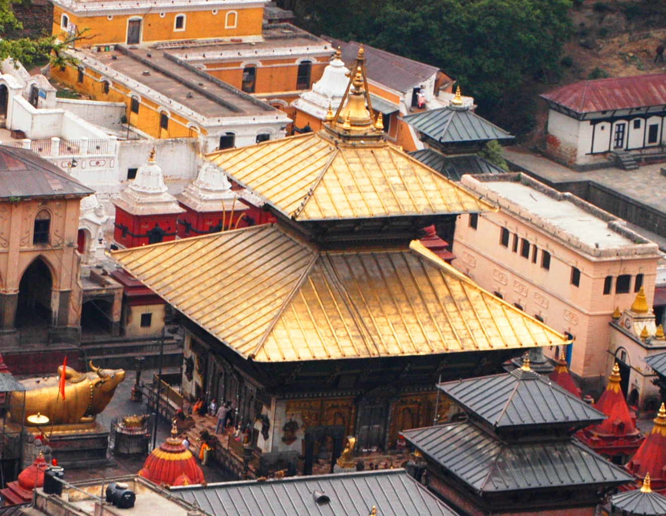 पशुपतिनाथ मन्दिरमा विशेष पूजा फागुन २५ देखि
