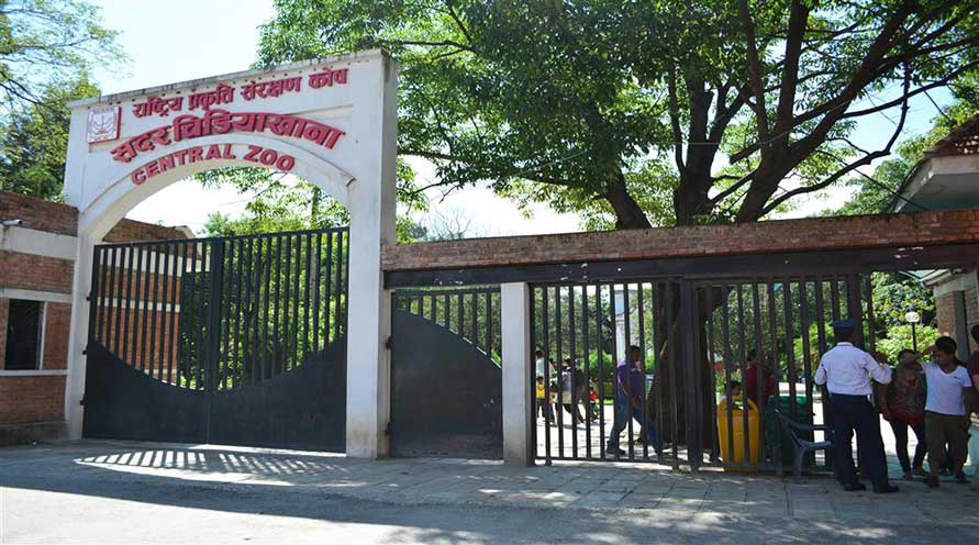 चिडियाखानाका वन्यजन्तुको ‘अविभावकत्व ग्रहण’ गर्ने बढ्दै
