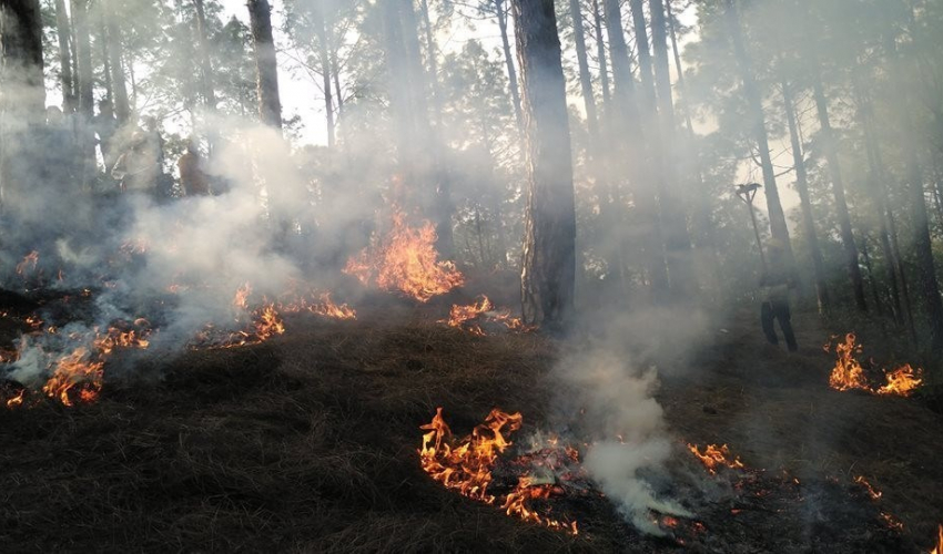 मकवानपुरमा डढेलोले तीन करोड ७० लाख मूल्य बराबरको क्षति