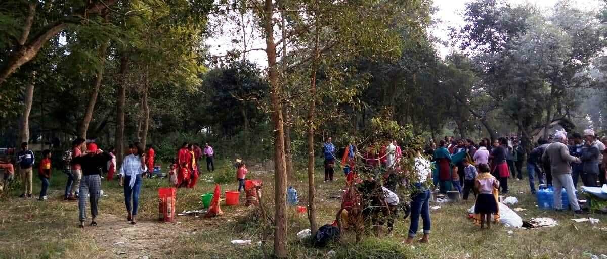 वन क्षेत्रमा नयाँ वर्षको चहलपहल शुरु