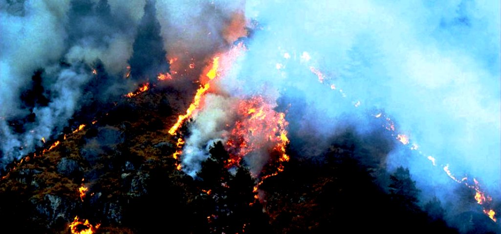 कालीकोटका ६० वटा वनमा आगलागी